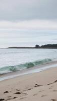 Ocean waves crashing on the sandy beach of an Atlantic coast on a cloudy day video