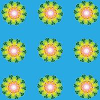 Seamless pattern of flowers with multi-colored petals on blue background. vector