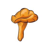 Golden chanterelle mushroom in cartoon style. Perfect for nature design, botanical project, educational material and foraging guides. Icon isolated on a white background. vector