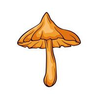 Deadly Webcap mushroom with an orange cap and stem in cartoon style. Perfect for educational material, botanical design and nature theme project. Isolated on a white background. vector