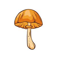 Autumn Skullcap mushroom with an orange brown cap and slender stem in cartoon style. Ideal for nature project, foraging guide and educational materials about mushrooms isolated on a white background. vector