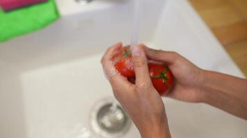 Washing Fresh, Ripe Tomatoes Under a Steady Stream of Running Water for Better Cleanliness video