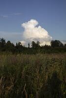 A big cloud in the sky. Cloud over the forest. Landscape with forest. photo