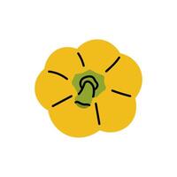 Hand drawn yellow bell pepper, top view. Detailed flat design vector