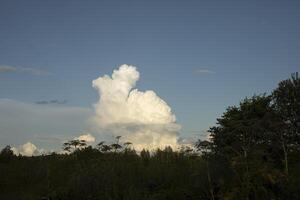 A big cloud in the sky. Cloud over the forest. Landscape with forest. photo