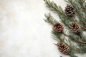 Pine branches with cones lying on a light textured background photo