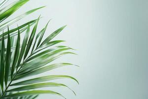 Tropical palm leaf creating tranquil minimalist background on blue symbolism of Sukkot photo
