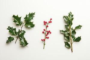 Sprig of holly with red berries lying on white background photo
