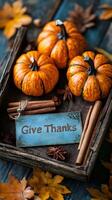 Autumnal Pumpkin Still Life with Cinnamon Sticks and Give Thanks Sign photo