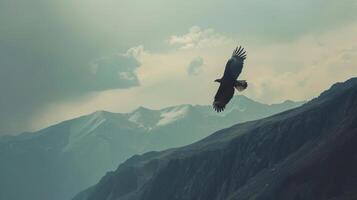 A bird flying over a mountain range with clouds in the background photo
