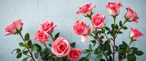 Pink and White Roses with Green Leaves on a Light Blue Background photo