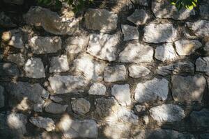Stone Wall Texture with Tree Shadows photo