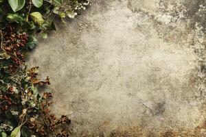 Dried Ivy and Berries on a Rough Stone Wall photo