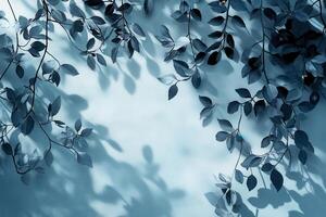 Blue Leaves and Shadows on a Textured Light Blue Surface photo