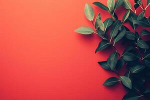 Lush Green Foliage on a Vibrant Red Background photo