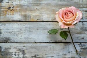 Single Pink Rose on Weathered Wood Background photo