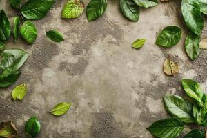 Green Leaves Arranged Around a Gray Concrete Background photo