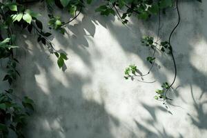 Green Vines Cast Shadows on a White Wall photo