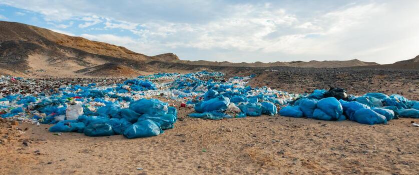 Plastic bottles and various garbage from hotels in the wild, Garbage dump in the desert in Egypt photo