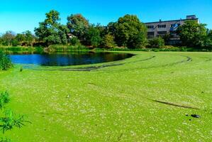 Picturesque eutrophic pond covered with green Duckweed and Wolfia algae, surrounded by lush plants and an old building that evokes tranquility. photo
