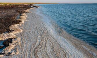 Wavy Dirty foam driven by the wind to the shore of the Tuzlovsky estuary photo