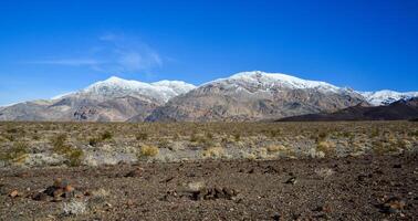 Landscape of a valley overgrown with desert vegetation and cacti in the rock desert in California, mountains in the background photo