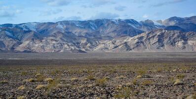Landscape of a valley overgrown with desert vegetation and cacti in the rock desert in California, mountains in the background photo