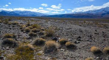 Landscape of a valley overgrown with desert vegetation and cacti in the rock desert in California, mountains in the background photo