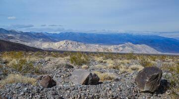 Landscape of a valley overgrown with desert vegetation and cacti in the rock desert in California, mountains in the background photo