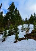 Snow in the mountains at the end of winter, snow melting in the mountains. Mountain landscape. photo