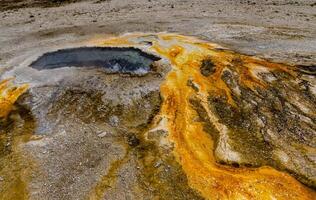 Algae-bacterial mats. Hot thermal spring, hot pool in the Yellowstone NP photo