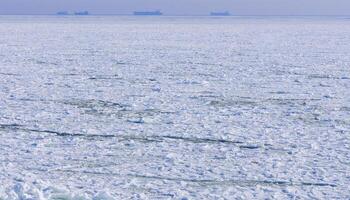 The frozen Black Sea, chunks and blocks of sea ice swaying on the water near the coast during a storm at sea near Odessa photo