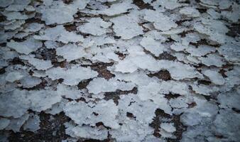 Crystals of self-sedimentary table salt on the shore photo