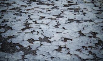 Crystals of self-sedimentary table salt on the shore photo
