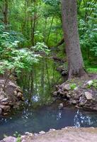 Artificial small river in the park under the trees, Askania-Nova, Ukraine photo