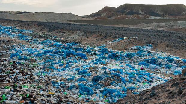Plastic bottles and various garbage from hotels in the wild, Garbage dump in the desert in Egypt photo