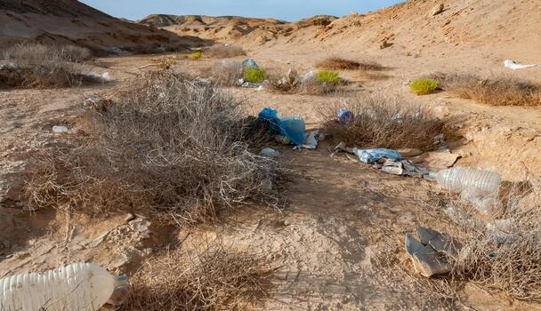 Plastic bottles and various garbage from hotels in the wild, Garbage dump in the desert in Egypt photo