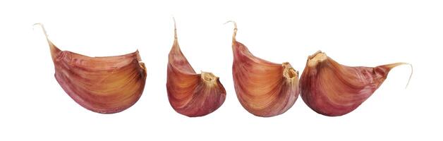 Four cloves of garlic isolated on a white background. photo