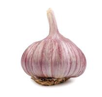 Garlic bulb isolated on white background. Unpeeled garlic bulb .Full clipping path. photo