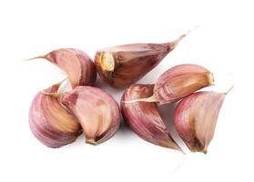 Garlic cloves isolated on a white background. photo