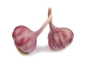 Two garlic bulbs isolated on a white background. Unpeeled garlic bulb .Full clipping path. photo