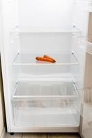 front view of refrigerator with withered carrots photo