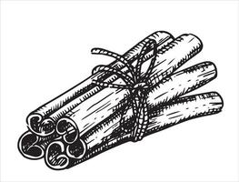 a bunch of cinnamon. illustration in sketch style vector