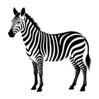 zebra silhouette with white background vector