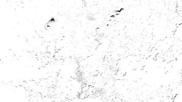 Dotwork graininess noise background. Black stipple dots. Abstract natural noise pattern. Sand grain effect. Black dots grunge banner. Stipple spots. Stochastic dotted backdrop. vector