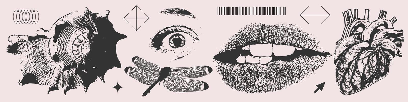 Vintage overlay elements set. Black and white photocopy Halftone eye, mouth, shell, human heart, dragonfly. Trendy grunge illustration.