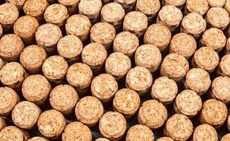 Background from textured wine corks, top view. place for text photo