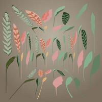 a drawing of plants with different colors and the word spring vector