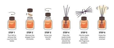 Reed diffuser instruction. How to use essential aroma oil diffuser with sticks for home fragrance. Perfume air freshener step by step guide illustration vector