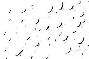 Minimalist Bird Silhouettes in Flight - Clean Patterns and Flock Designs on White Background vector